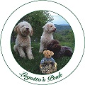 Lagotto’s Peak – Lagotto Romagnolo Kennel