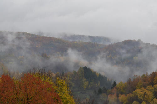 Autumn View